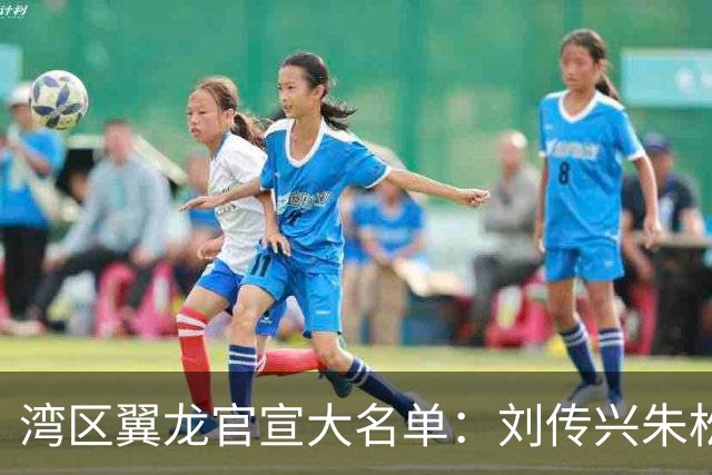 湾区翼龙官宣大名单：刘传兴朱松玮继续留队